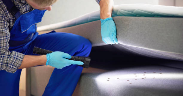 Best Residential Pest Control  in Bellefontaine Neighbors, MO