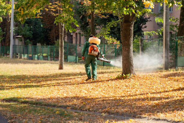 Best Termite Control Services  in Bellefontaine Neighbors, MO
