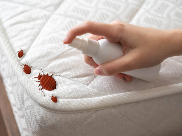 Best Exterminator Services  in Bellefontaine Neighbors, MO