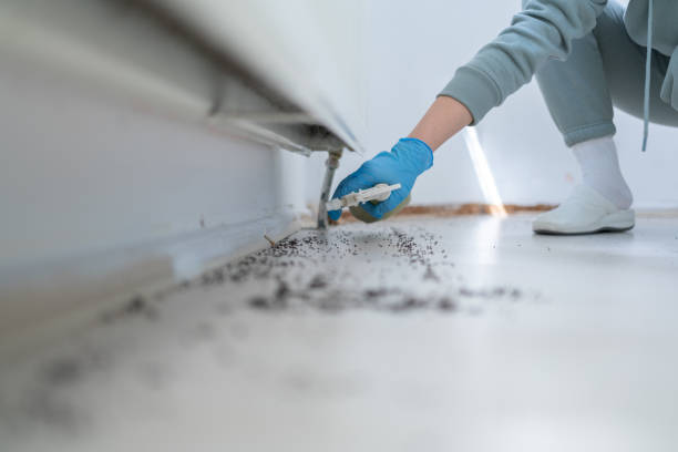  Bellefontaine Neighbors, MO Pest Control Pros